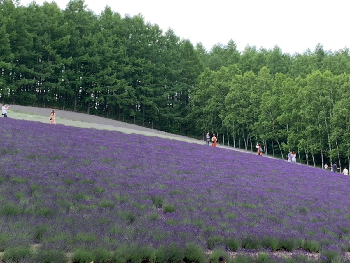 蒙塞拉特修道院 蒙塞拉特山徒步体验 Klook客路中国