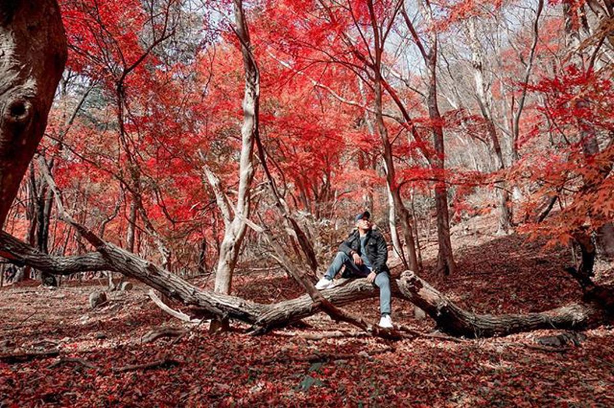 Naejangsan National Park Autumn Day Tour Klook