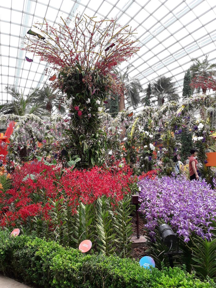 singapore gardens by the bay tickets (cloud forest & flower dome