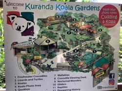 Kuranda Koala Gardens General Admission Ticket In Cairns