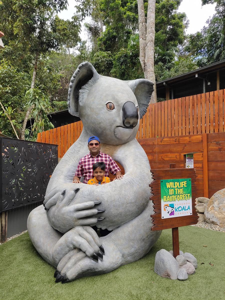 Kuranda Koala Gardens General Admission Ticket In Cairns