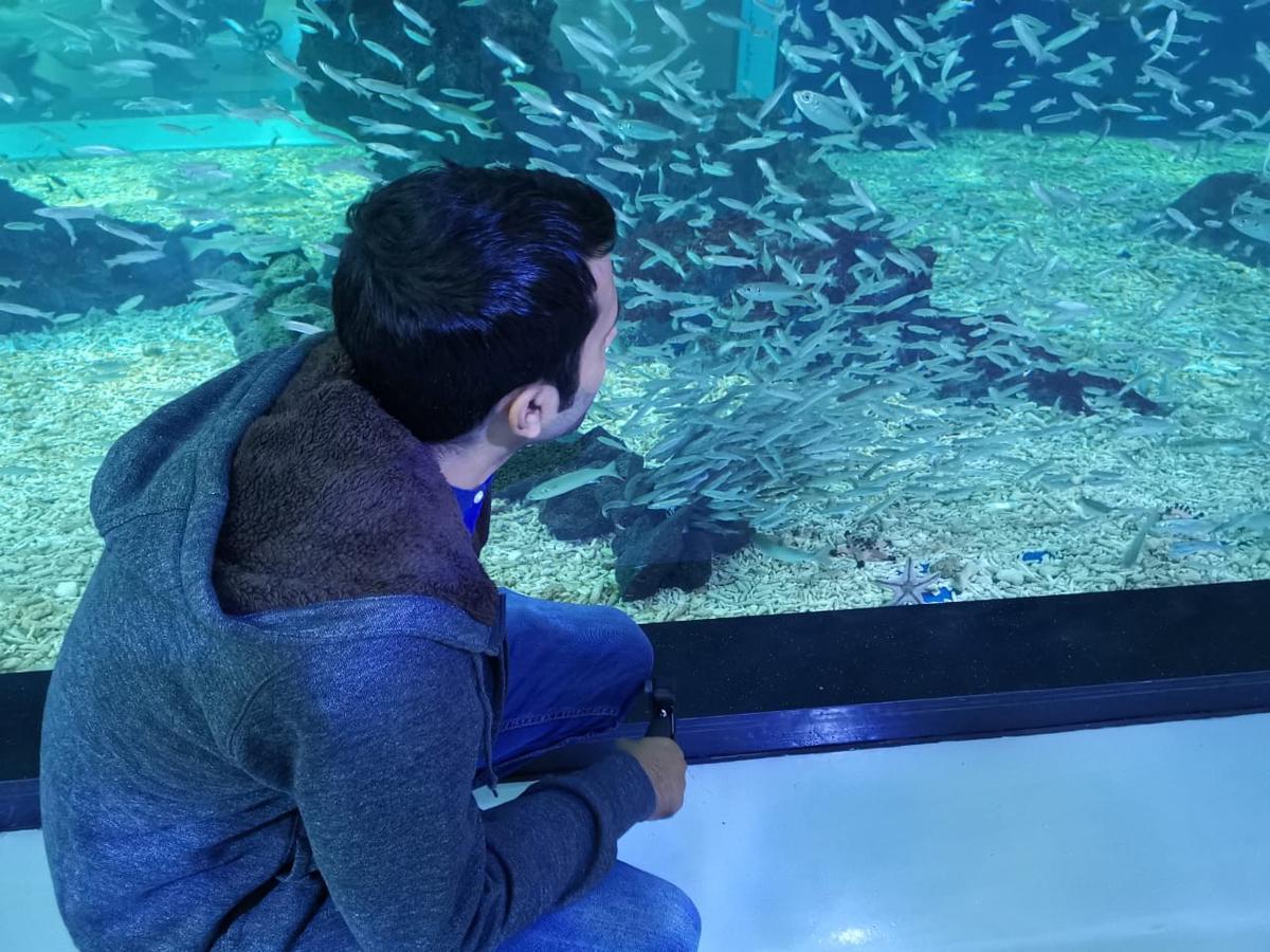 Aqua Planet Jeju Klook