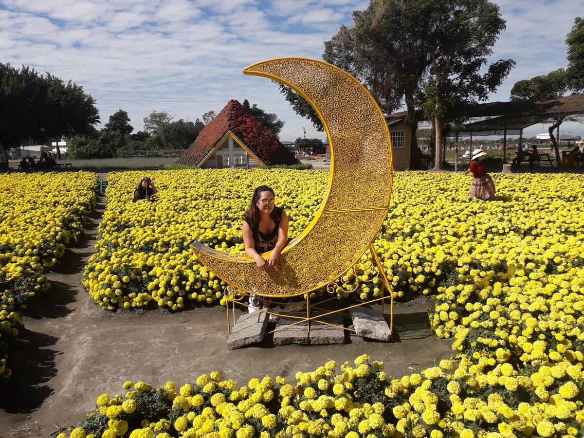 Meteor Garden Sightseeing Tour In Taiwan Klook