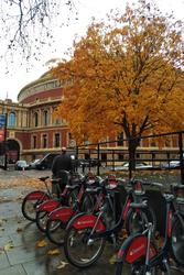 Tours of the Royal Albert Hall 