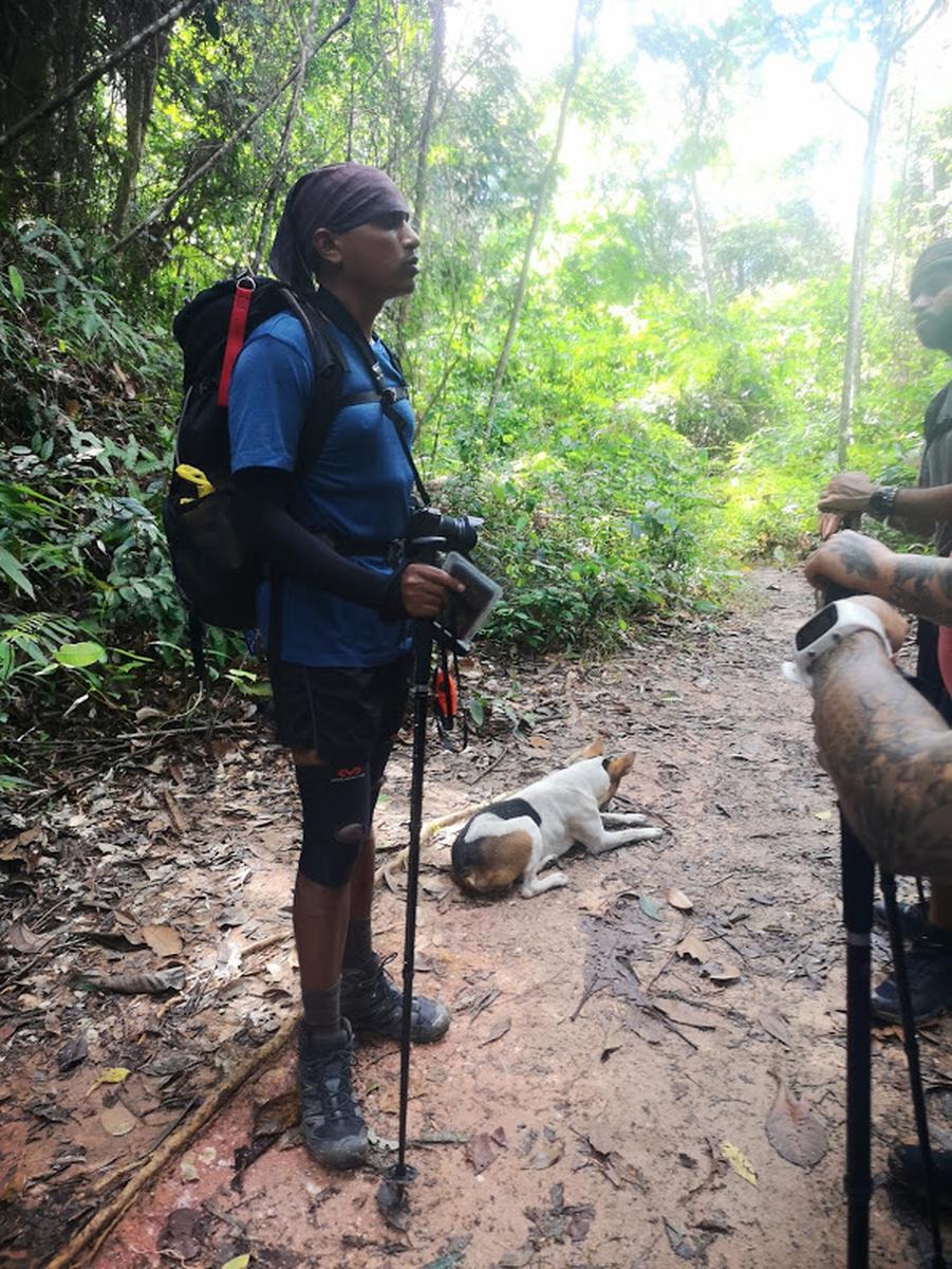 Maya Falls Hiking Half Day Tour