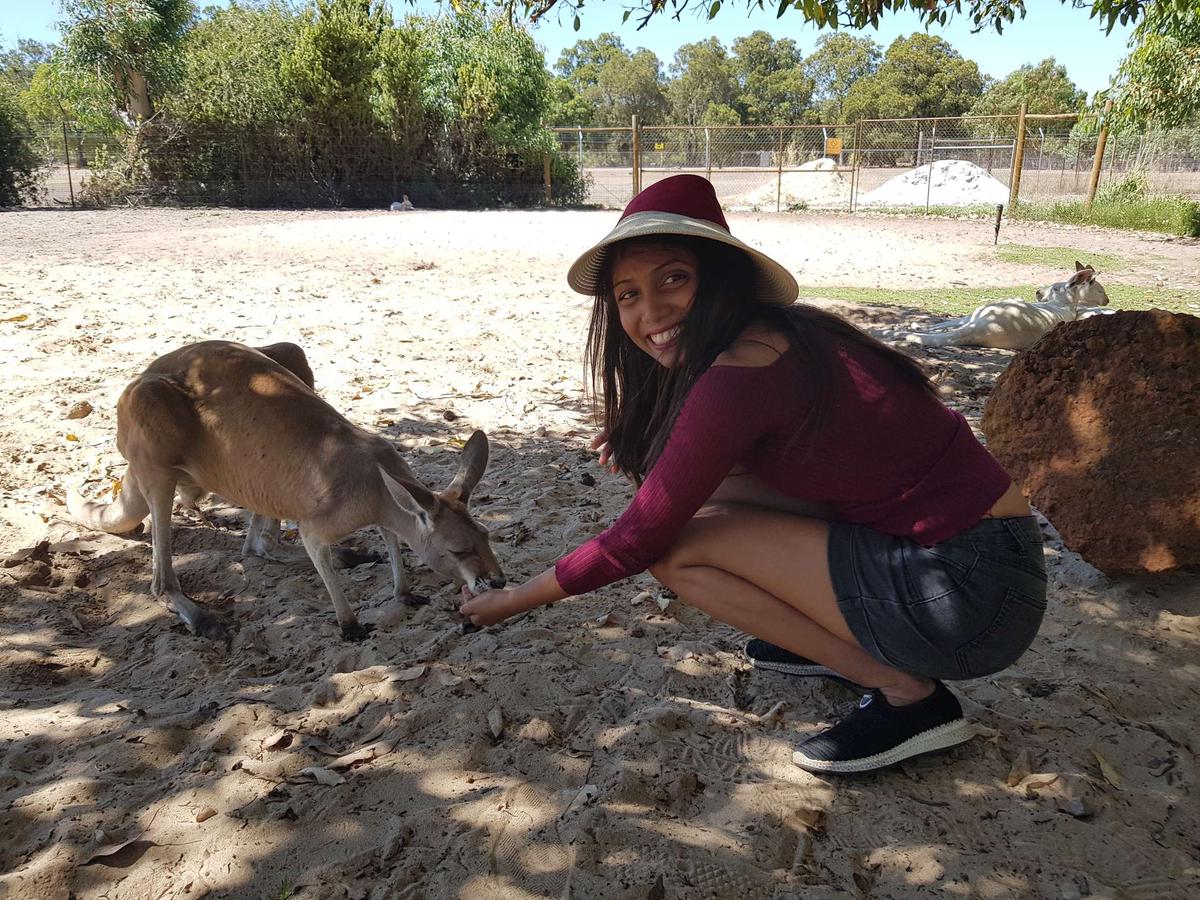 Ultimate Aussie Wildlife Day Tour Dari Perth