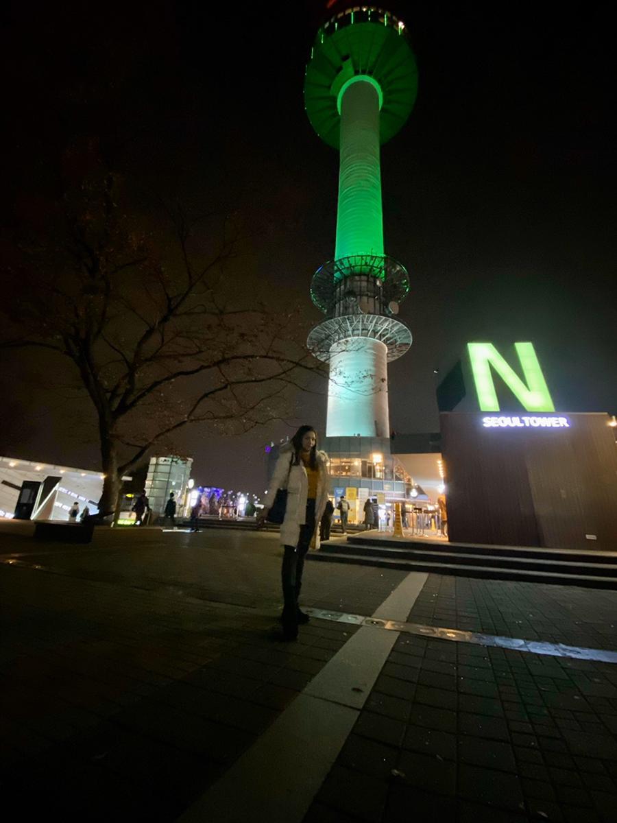 Teks Deskripsi  Bahasa  Inggris  Tentang Namsan Tower 