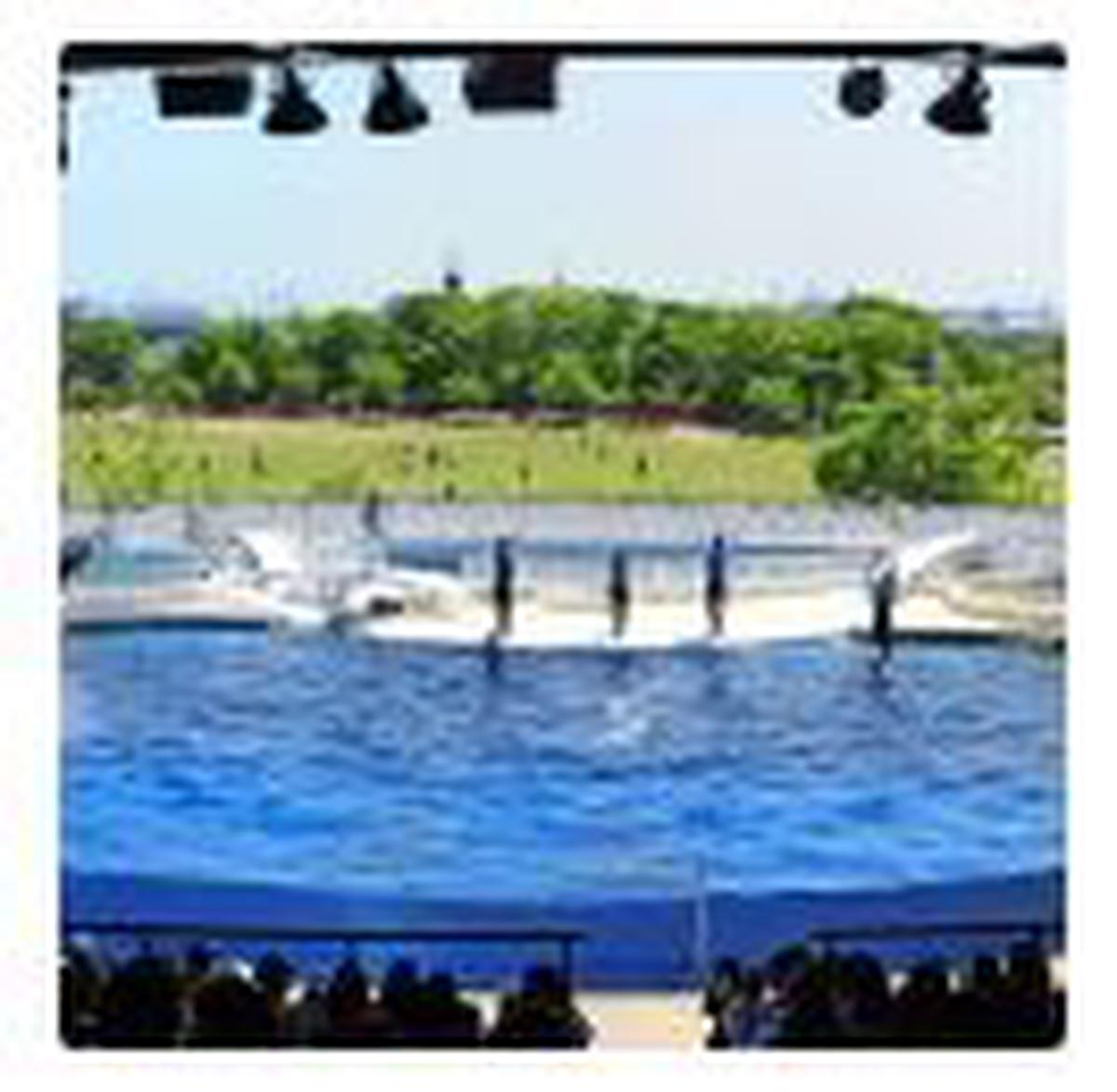 Kyoto Aquarium Admission Ticket In Japan Klook Us