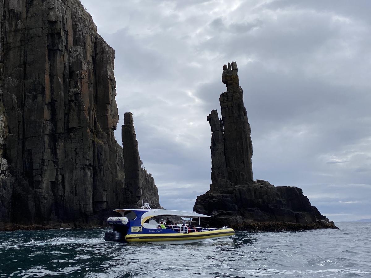 ล่องเรือชมเกาะบรูนี่ (Bruny Island)