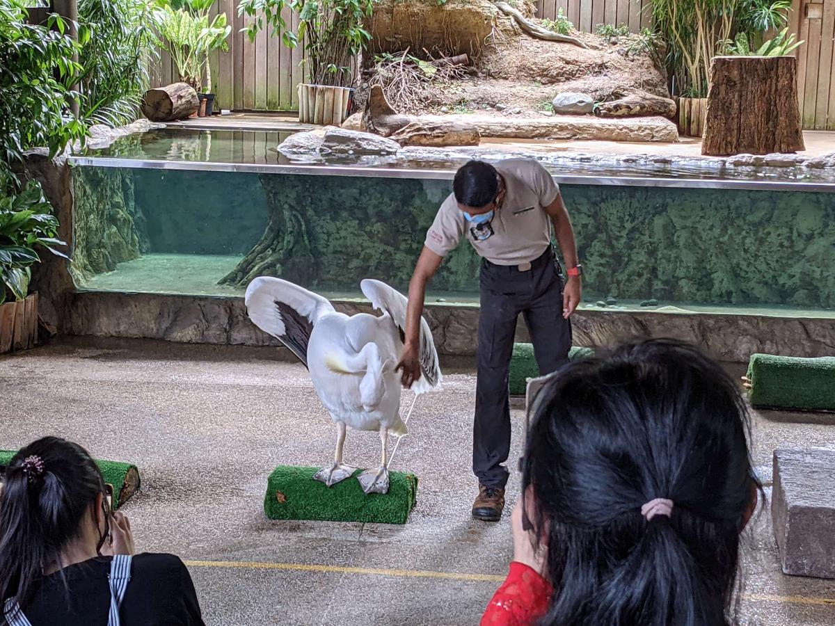 SG リバーワンダー ワンス・アポン・ア・リバー