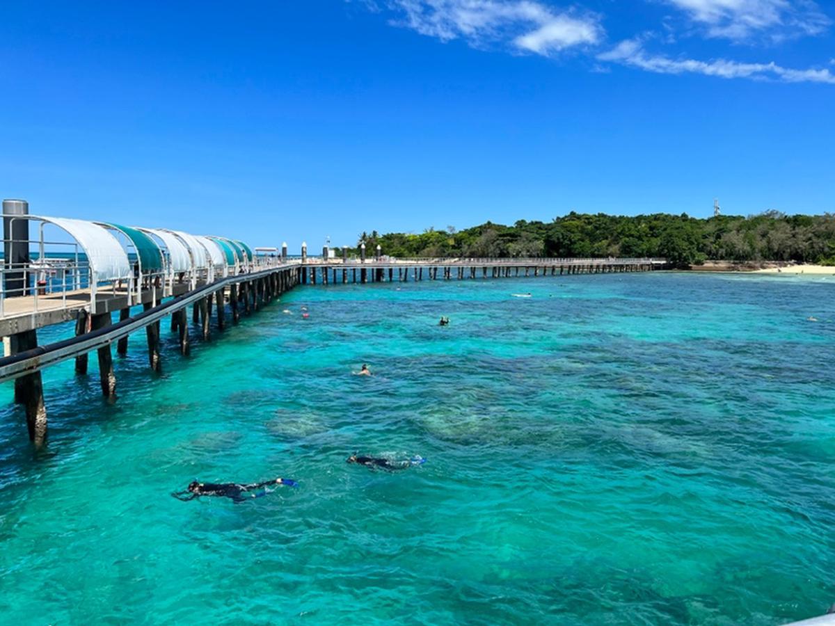 オーストラリア ケアンズ グリーン島