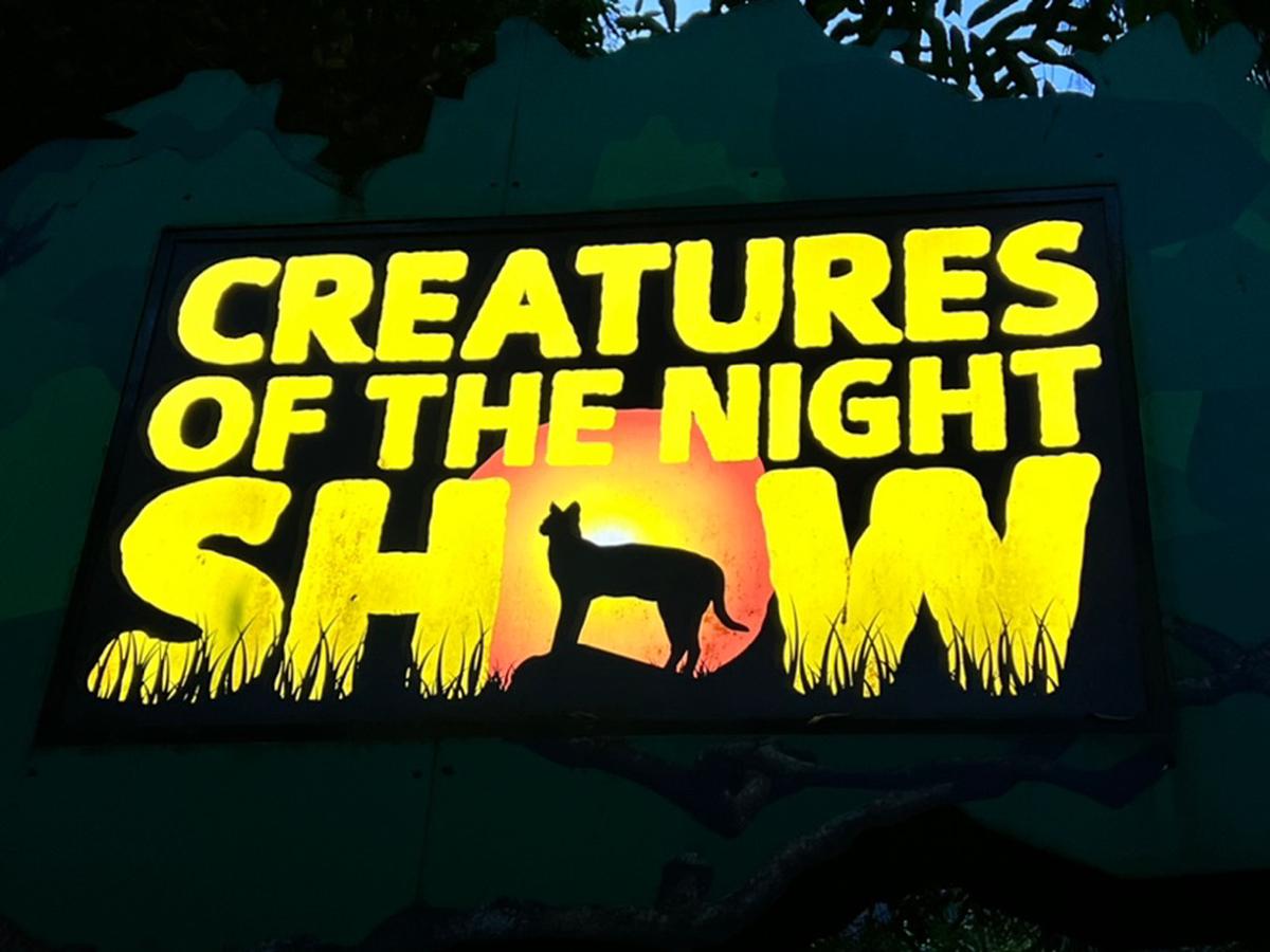 SG ナイトサファリ クリーチャー・オブ・ザ・ナイト