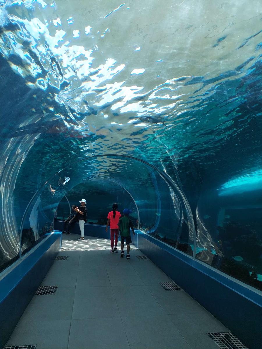 48851 PH　セブ SMシーサイド・シティ セブオーシャンパーク