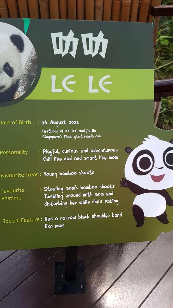 SG リバーワンダー ジャイアントパンダ 赤ちゃんパンダ「ルァルァ」