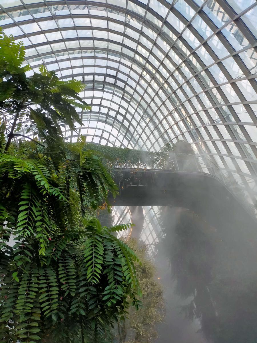 ガーデンズ・バイ・ザ・ベイ クラウドフォレスト ミストタイム