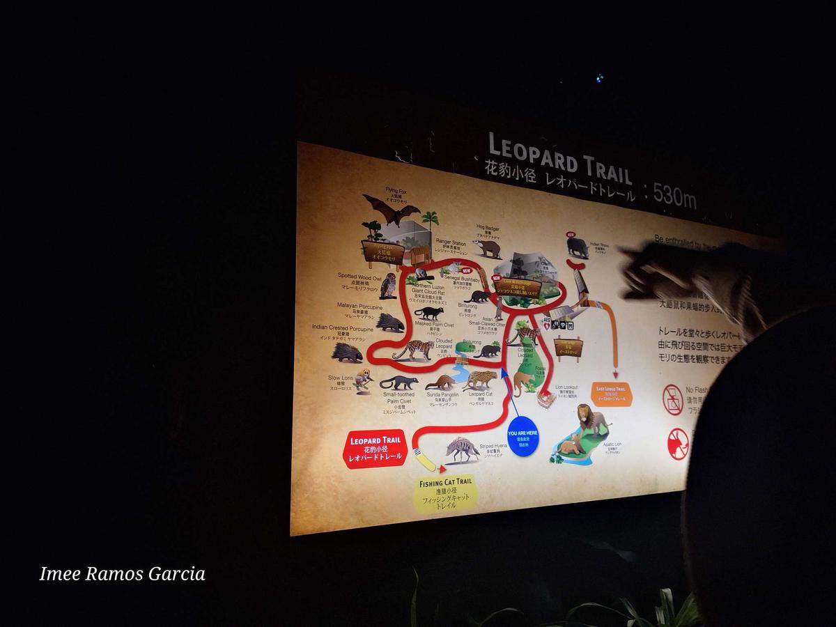 SG ナイトサファリ レオパード・トレイル