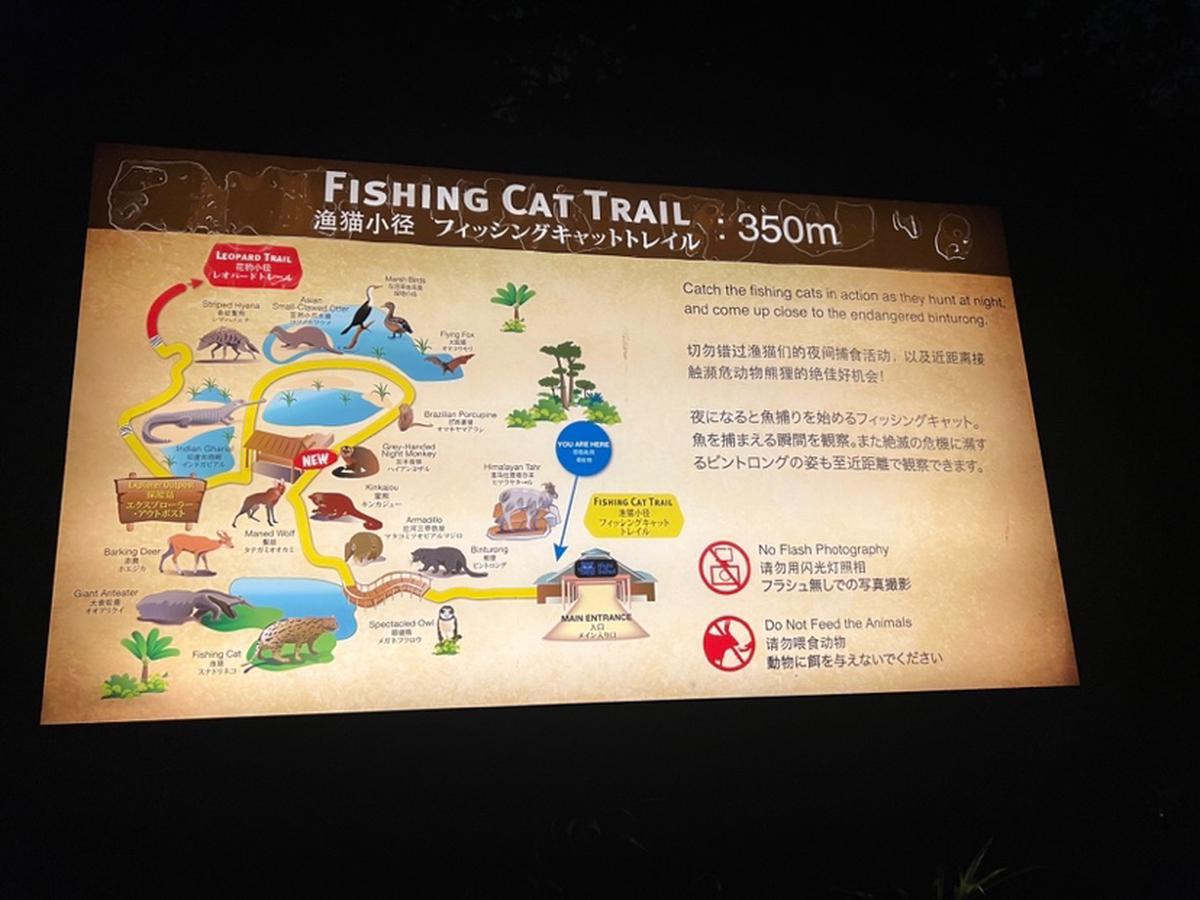 SG ナイトサファリ フィッシング・キャット・トレイル