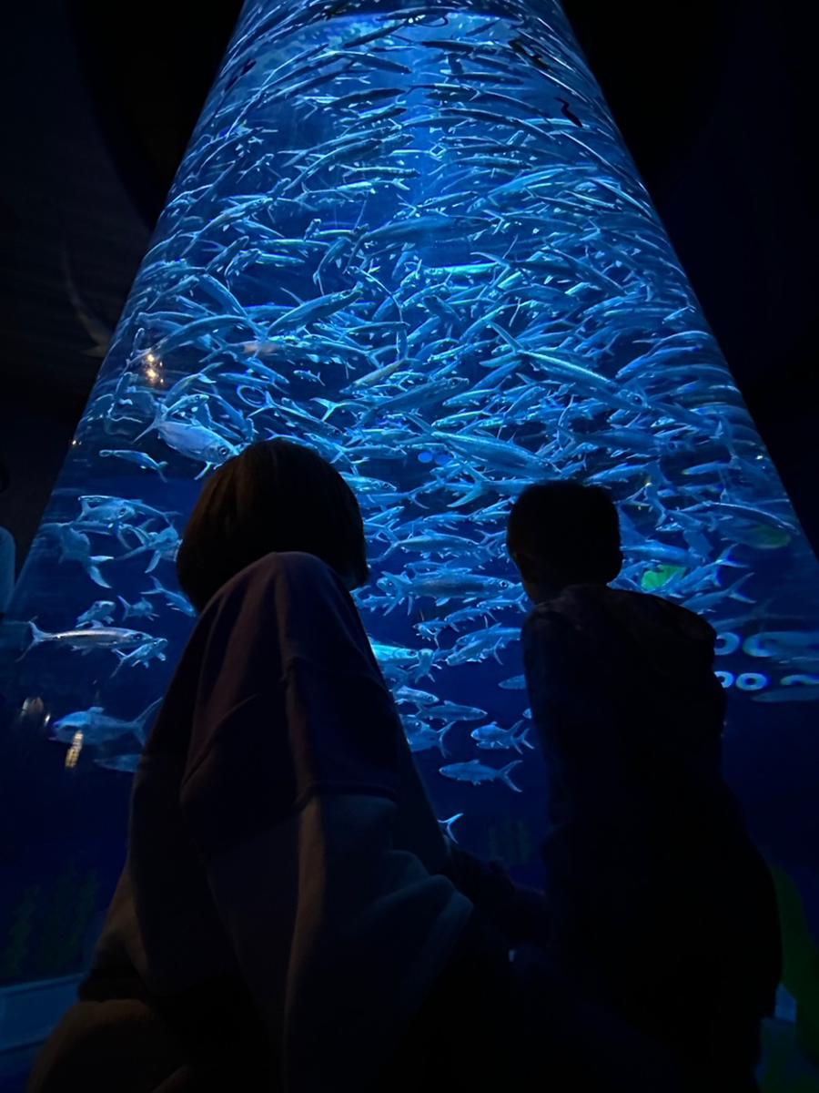 オーシャンパーク ザ・ウォーターフロントエリア