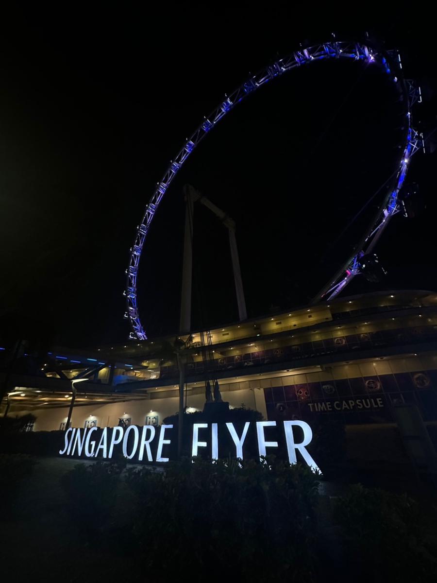 シンガポールフライヤー 正面から見た様子