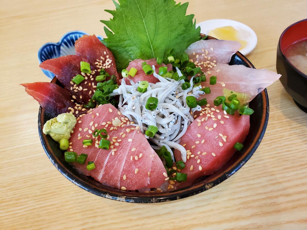 三浦　三浦海岸　マグロ丼