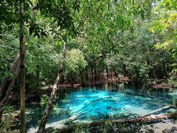 2024 All day Krabi Jungle Tour (Hot Spring Water, Emerald Pool, Tiger Cave  Temple)